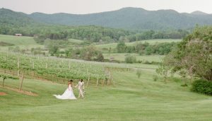EASTON EVENTS AT PIPPIN HILL IN VINEYARD
